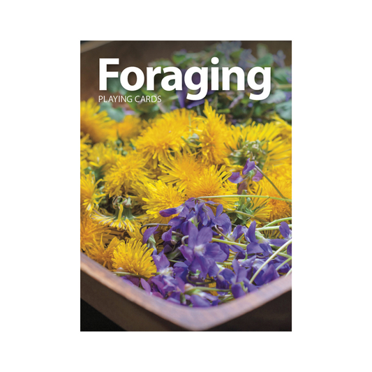 Foraging Playing Cards