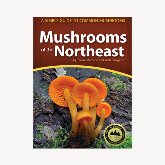 Mushrooms of the Northeast