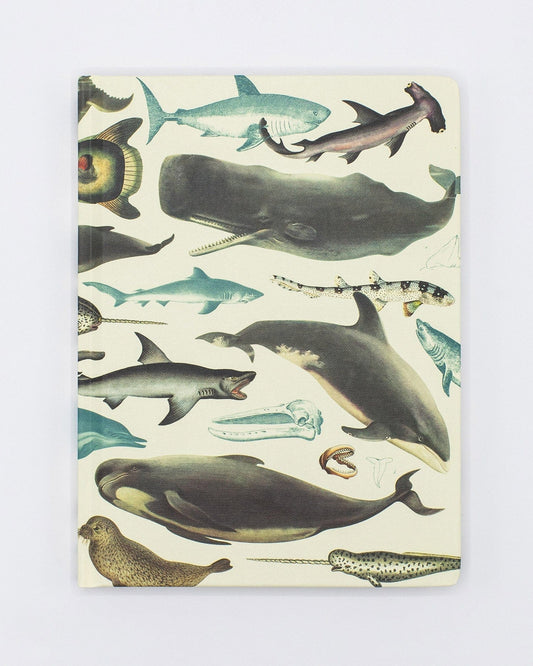 Whales & Seals Hardcover Notebook  - Dot Grid