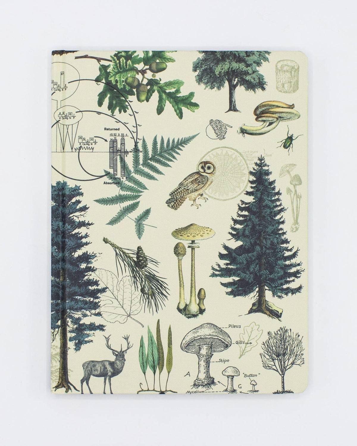 Woodland Forest Hardcover Notebook  - Dot Grid