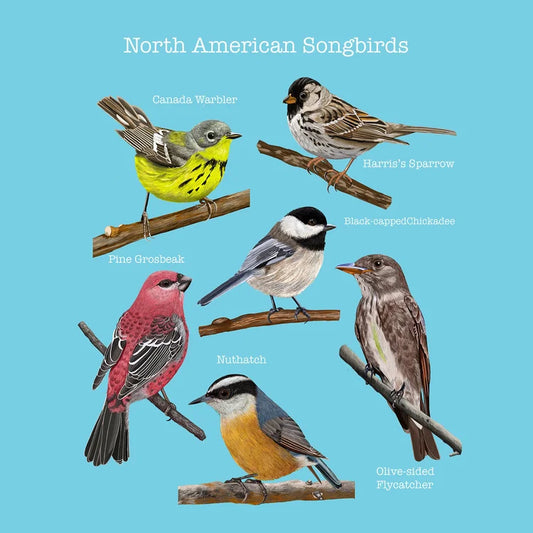 North American Songbirds Card
