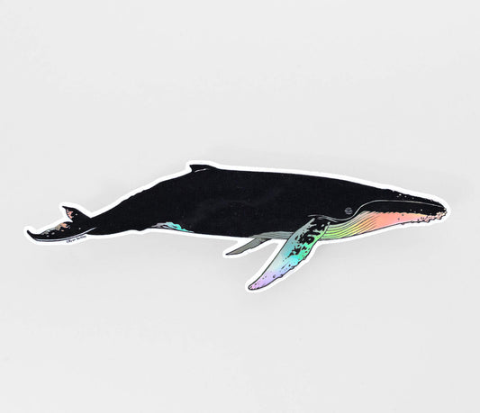 Humpback Whale Sticker