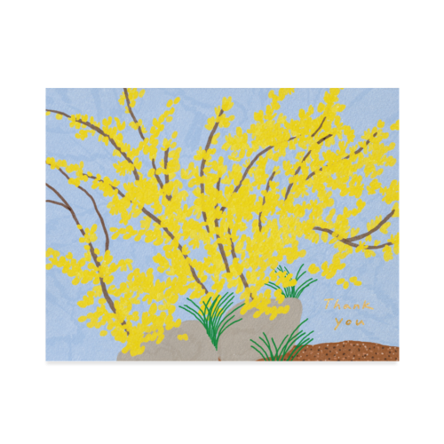 Forsythia Thank You Card