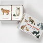 Cats & Kittens Memory Game