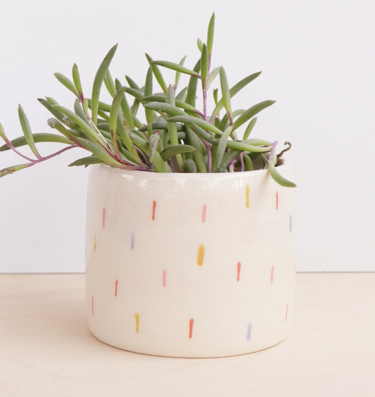 Confetti Planter