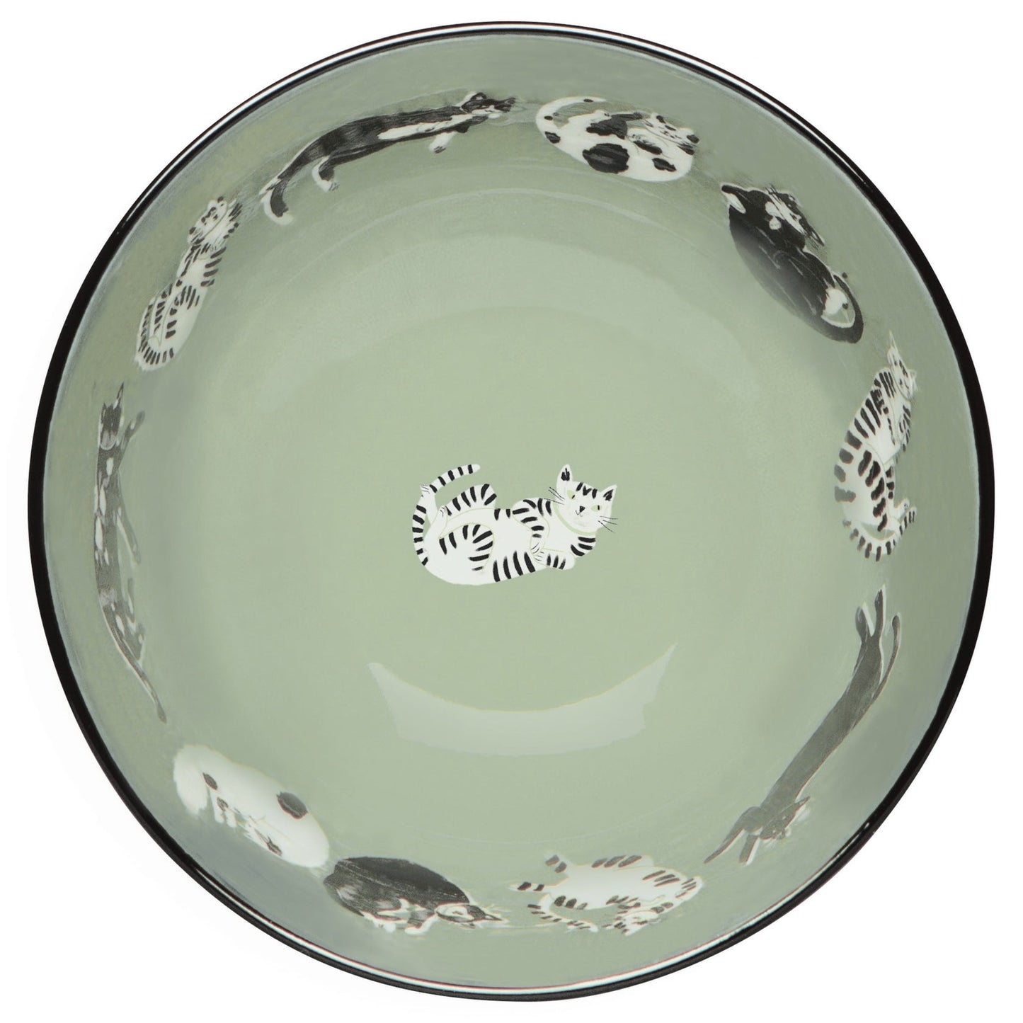 Meow & Furever Bowls Set