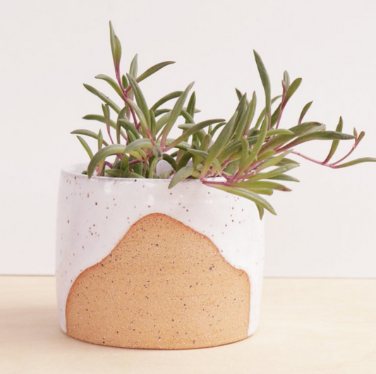 Drift Planter