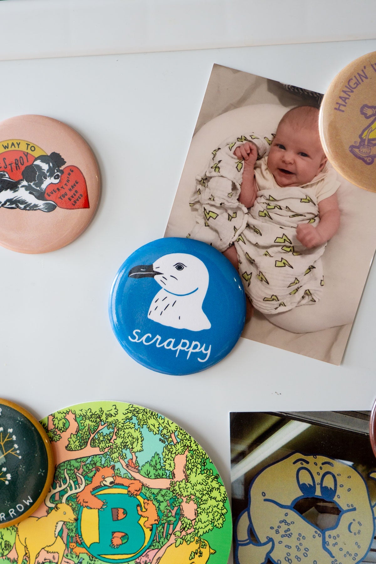 Scrappy Seagull Magnet