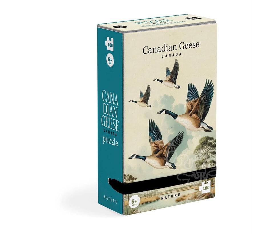 Tiny Canadian Geese Puzzle