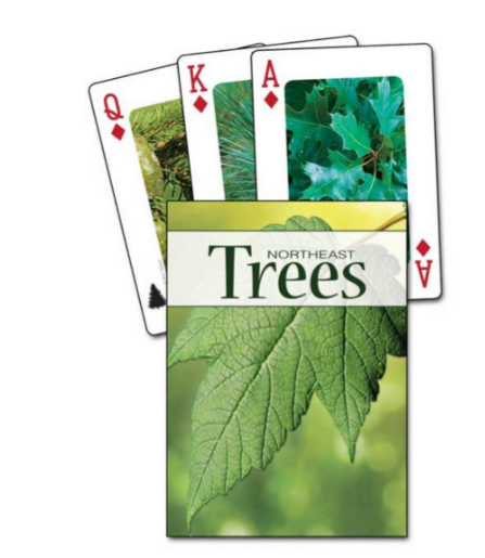 Northeast Trees Playing Cards