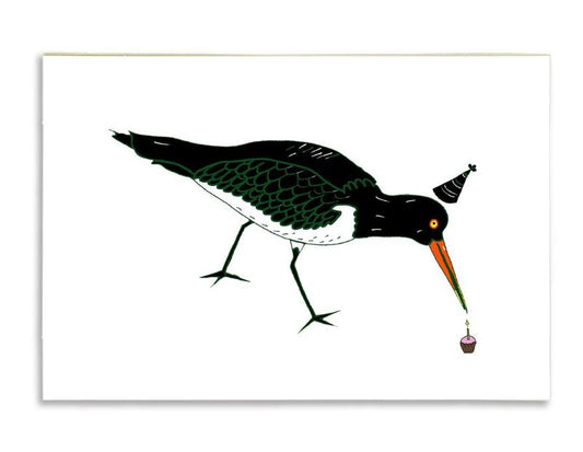 Oystercatcher Birthday Card