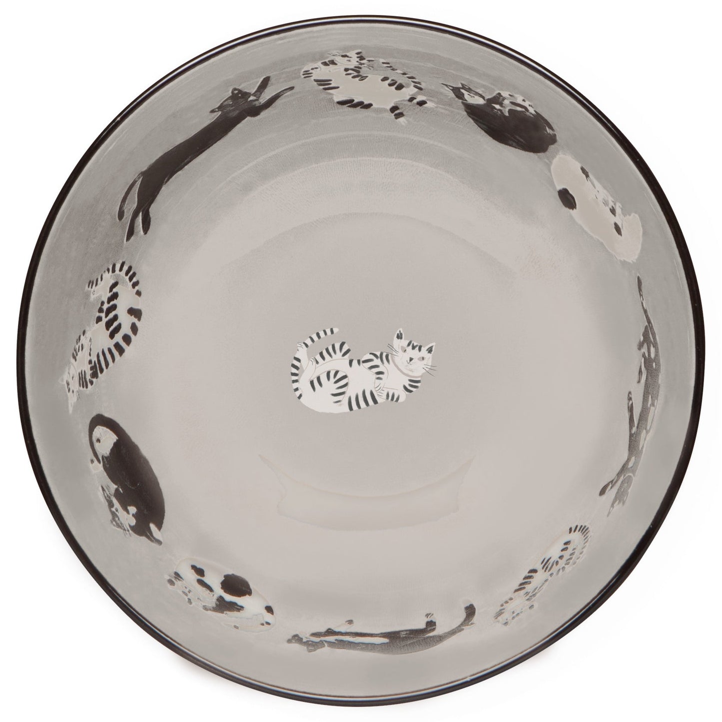 Meow & Furever Bowls Set