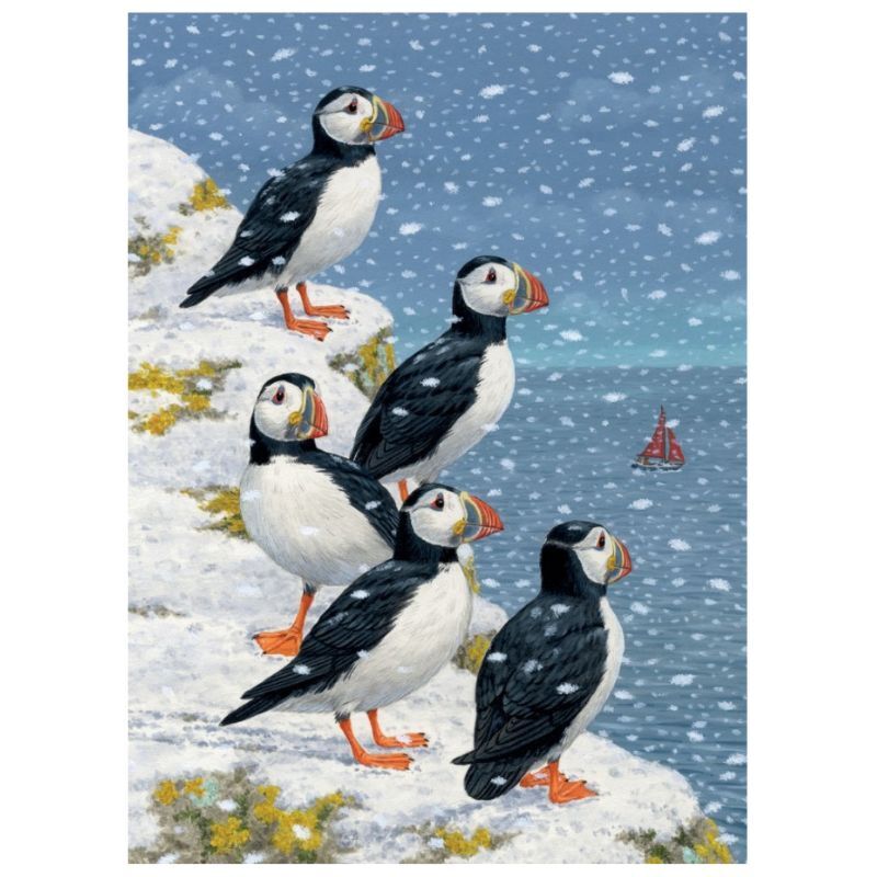 Puffins In The Snow Holiday Boxed Cards (Set of 8)