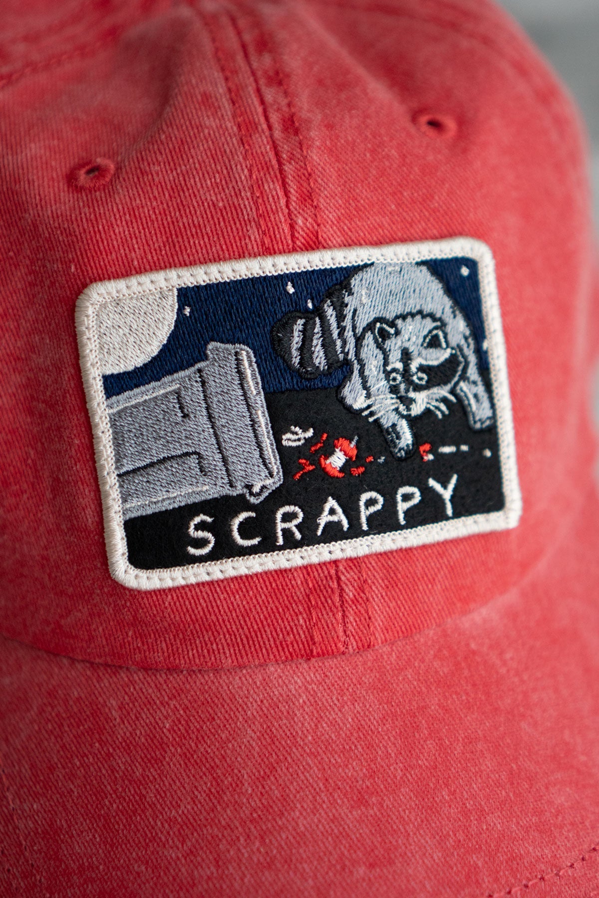 Scrappy Raccoon Patched Dad Hat