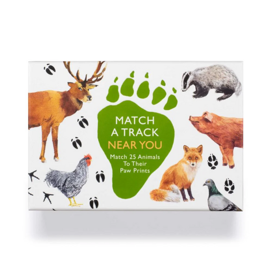 Match a Track Near You Matching Game