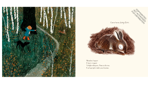 Woodland Dreams