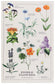 Edible Flowers Tea Towel