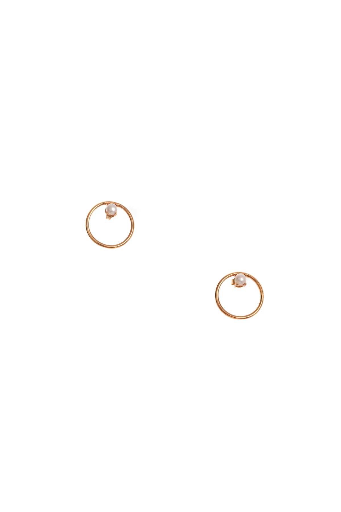 Beech Earrings
