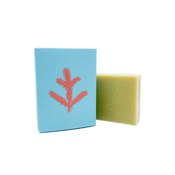 Spruce + Rose Soap