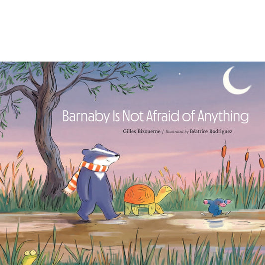 Barnaby is not Afraid of Anything by Béatrice Rodriguez; Gilles Bizouerne
