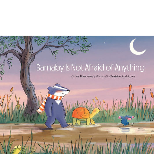 Barnaby is not Afraid of Anything by Béatrice Rodriguez; Gilles Bizouerne
