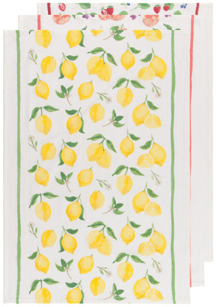 Fruit Salad Floursack Dish Towel Set